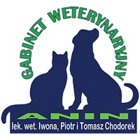 Anin logo